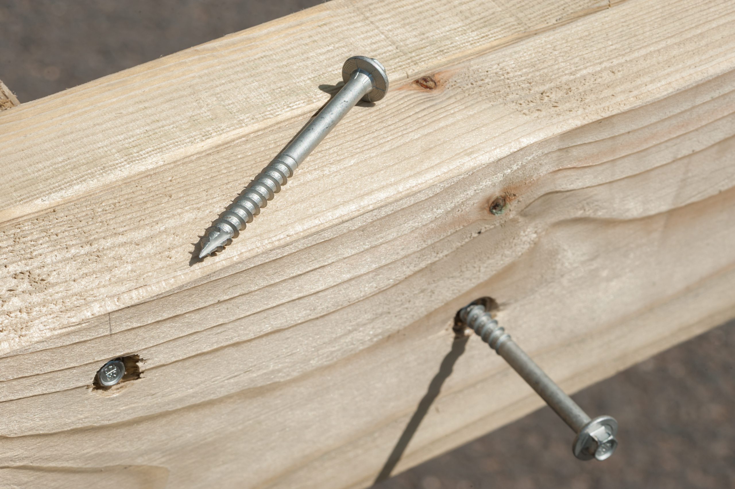 The different types of timber screws